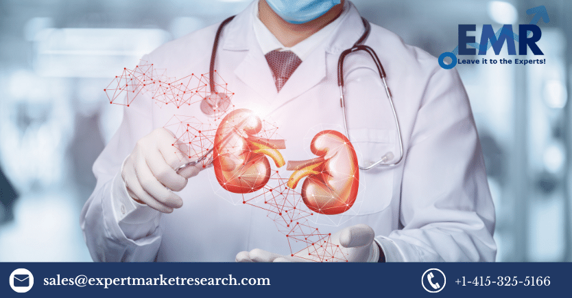 Global Acute Kidney Injury Treatment Market Share, Size, Trends, Analysis, Report and Forecast Period Of 2023-2028