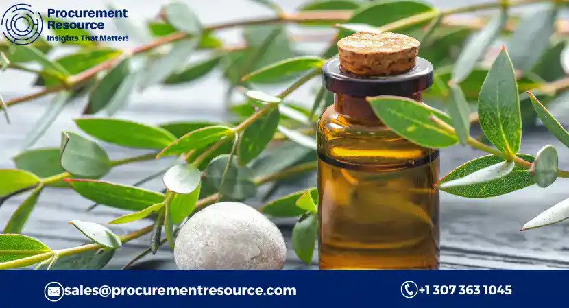 Eucalyptus Oil Production Cost Analysis Report: Market Reports and Market Research Report