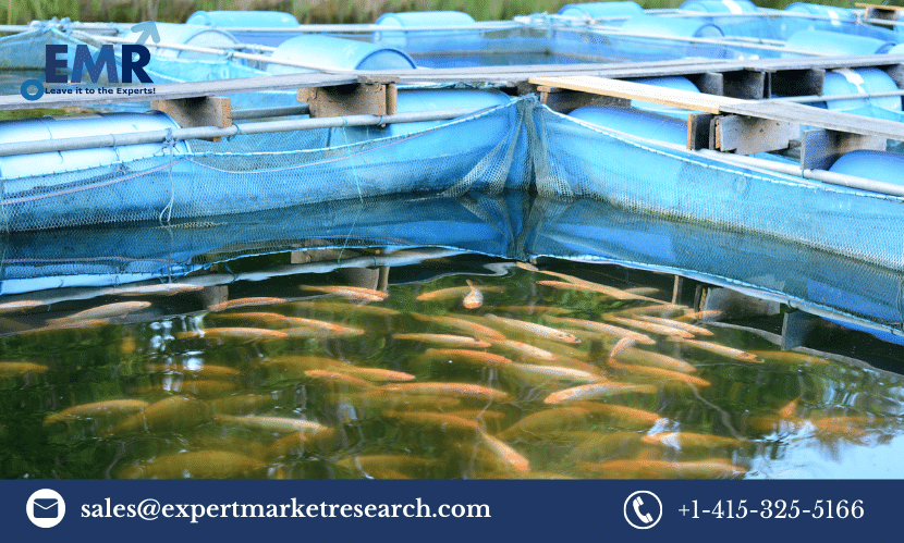 Fish Farming Market Share, Size, Trends, Price, Growth, Analysis, Report, Forecast 2023-2028
