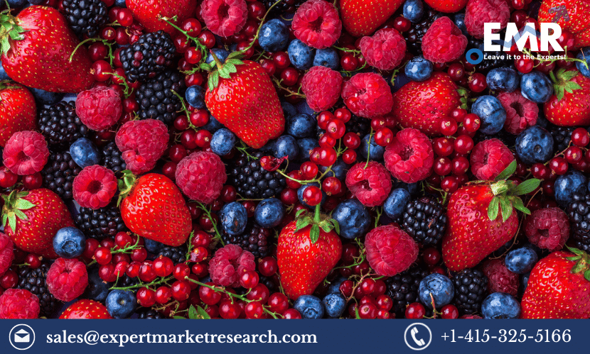 Global Fresh Berries Market Size, Trends, Growth, Outlook, Report and Forecast 2023-2028