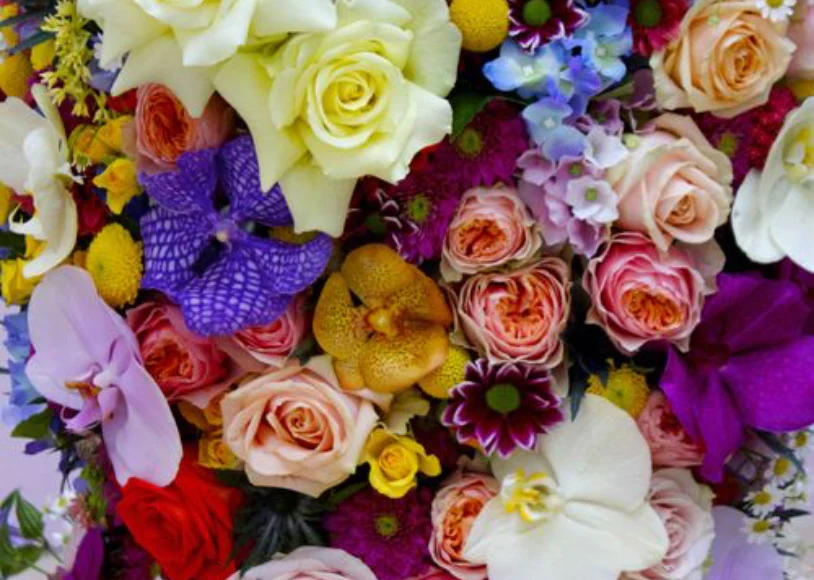 Monthly Flowers: A Blossoming Guide to Nature’s Ever-Changing Beauty
