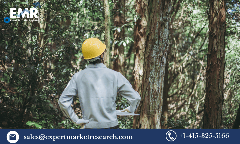 Precision Forestry Market Share, Size, Trends, Price, Growth, Analysis, Report, Forecast 2023-2028