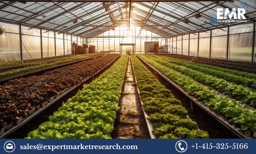 Qatar Greenhouse Market Size, Trends, Growth, Analysis, Research Report and Forecast 2023-2028