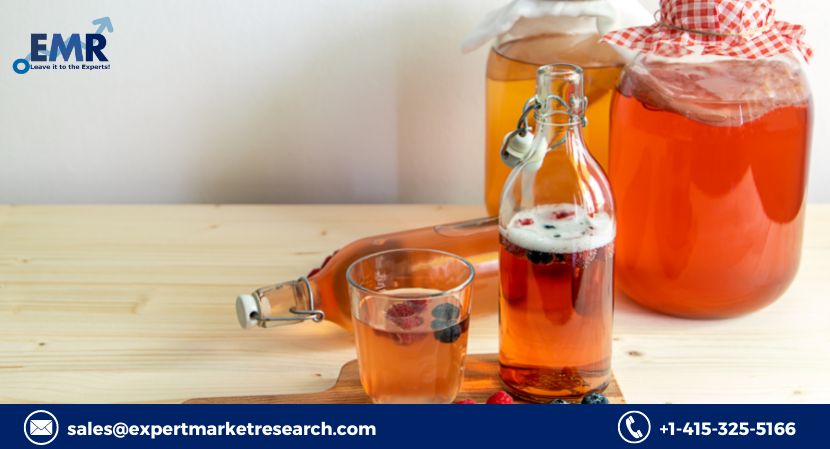 Global Fermenters Market Size, Share, Price, Trends, Growth, Analysis, Report, Forecast 2023-2028
