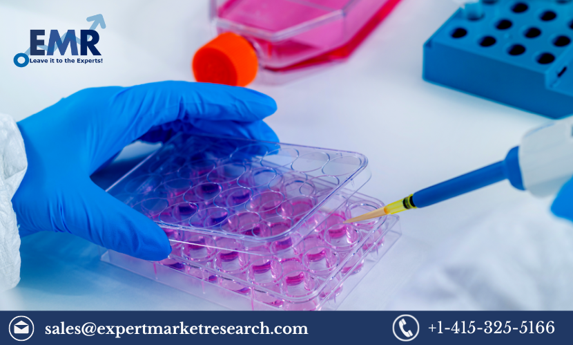 Global In Vitro Toxicology Testing Market Size, Share, Price, Trends, Growth, Report And Forecast 2023-2028