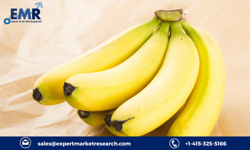 Organic Banana Market Growth, Analysis, Size, Share, Price, Trends, Report, Forecast 2023-2028