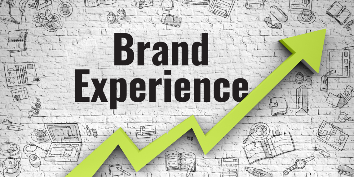 Elevate Your Brand with Our Identity Experts