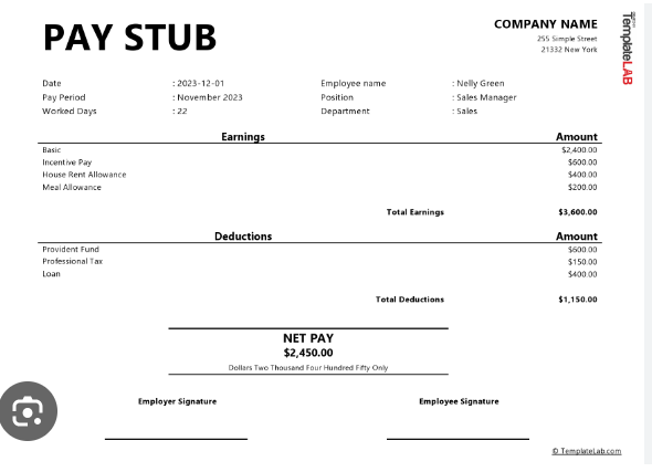 Pay Stub Power: Unlocking Your Earnings for Free