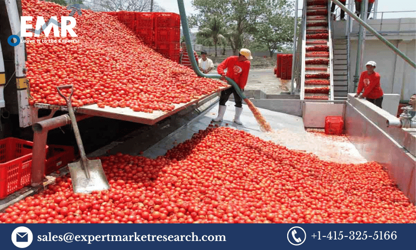 Tomato Processing Market Growth, Analysis, Size, Share, Price, Trends, Report, Forecast 2024-2032