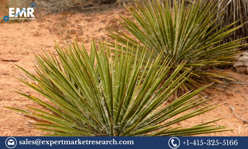 Yucca Extract Material Market Trends, Share, Size, Industry Report And Forecast 2023-2028