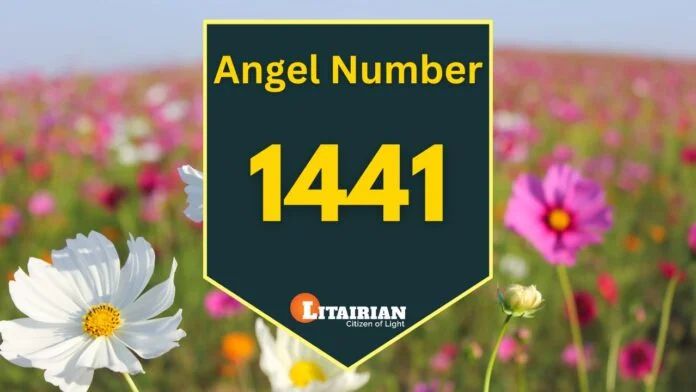 angel number 1441