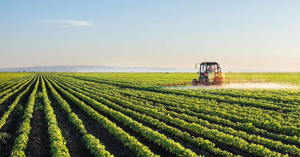 How Fertilizer Helps Farmers in Farming?