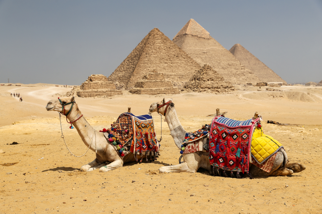Unveiling Egypt’s Mysteries: A Comprehensive Guide to Tailored Tours from Canada