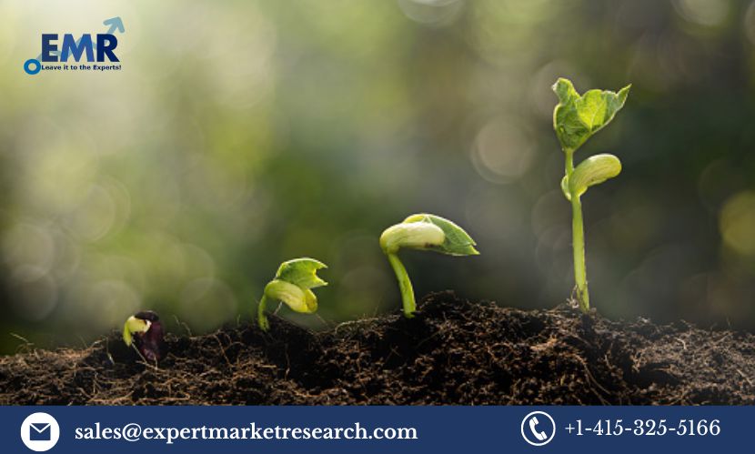 Soil Treatment Market Size, Share, Trends, Report and Forecast 2024-2032