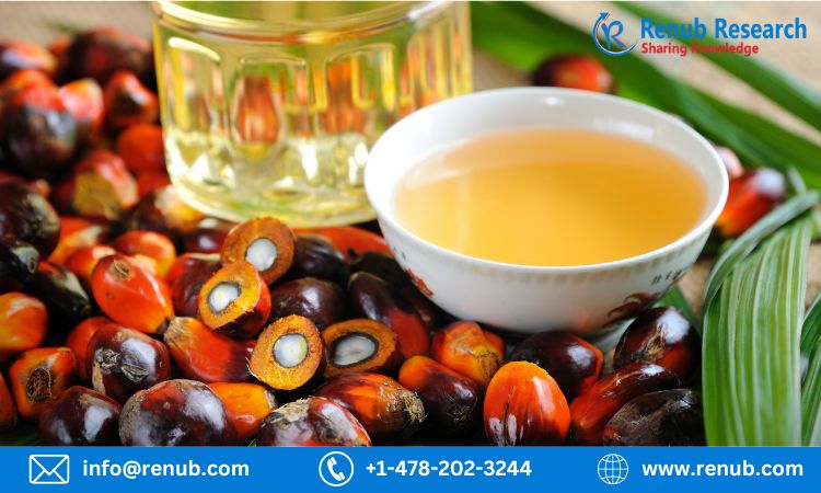 Global Palm Oil Market, Size, Share, Growth and Key Players ⅼ Forecast (2023 – 2028) ⅼ Renub Research