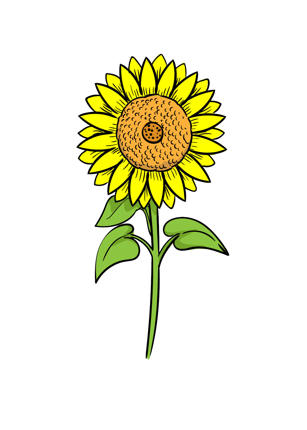 Sunflower Shading Drawing Tutorial || How to Draw