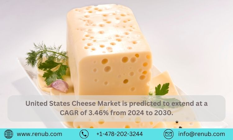 United States Cheese Market Report, Size, Share, Growth, Company Analysis, Insights – Forecast (2024 – 2030)