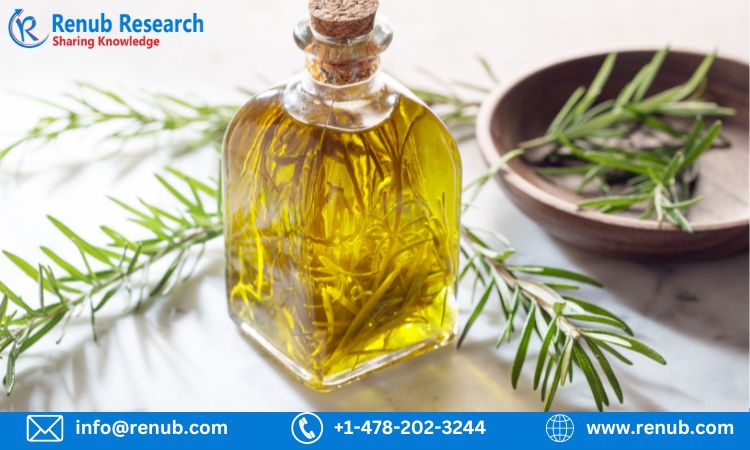 Global Soybean Oil Market, Size, Share, Growth and Key Players ⅼ Forecast (2023 – 2028) ⅼ Renub Research
