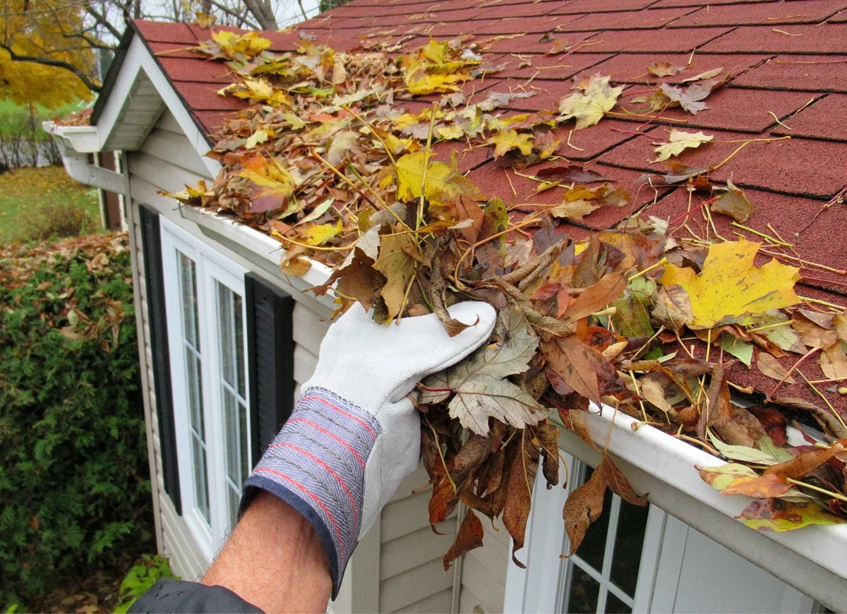 5 Common Gutter Cleaning Mistakes to Avoid