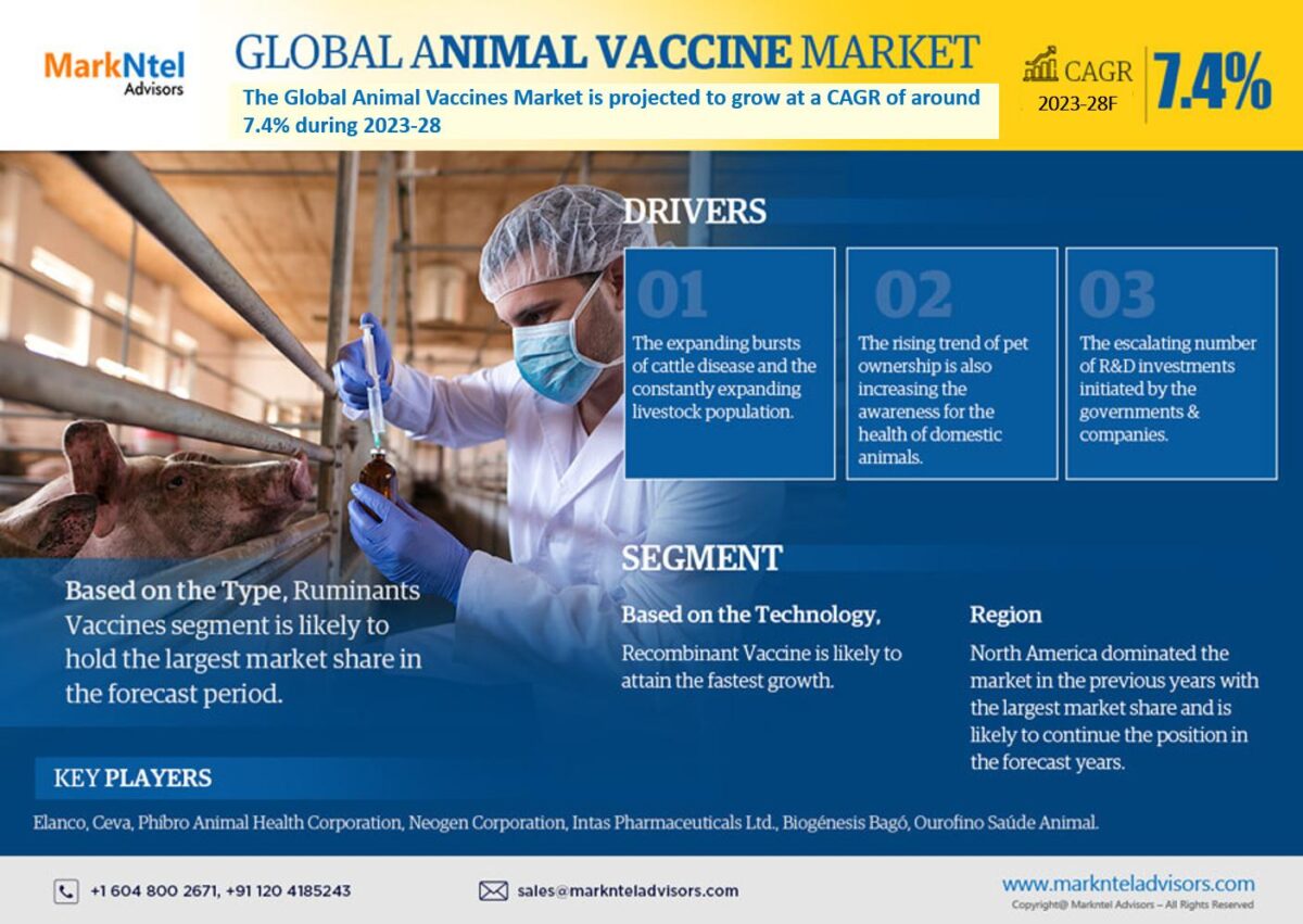 Animal Vaccine Market is Poised for Growth with a 7.4% CAGR Until 2028