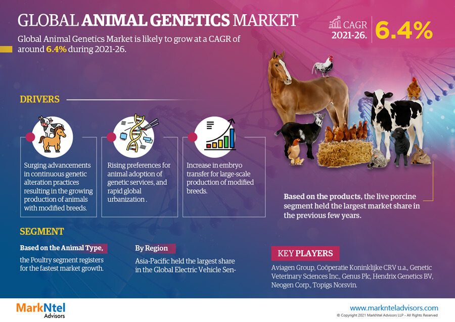Unveiling the Future: Animal Genetics Market Forecast by 2026, Featuring a CAGR of 6.4% – MarkNtel Advisors