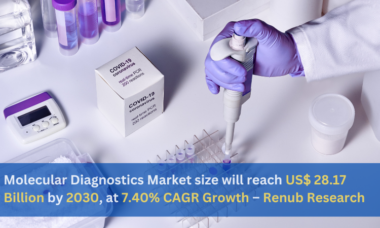 Molecular Diagnostics Market size will reach US$ 28.17 Billion by 2030