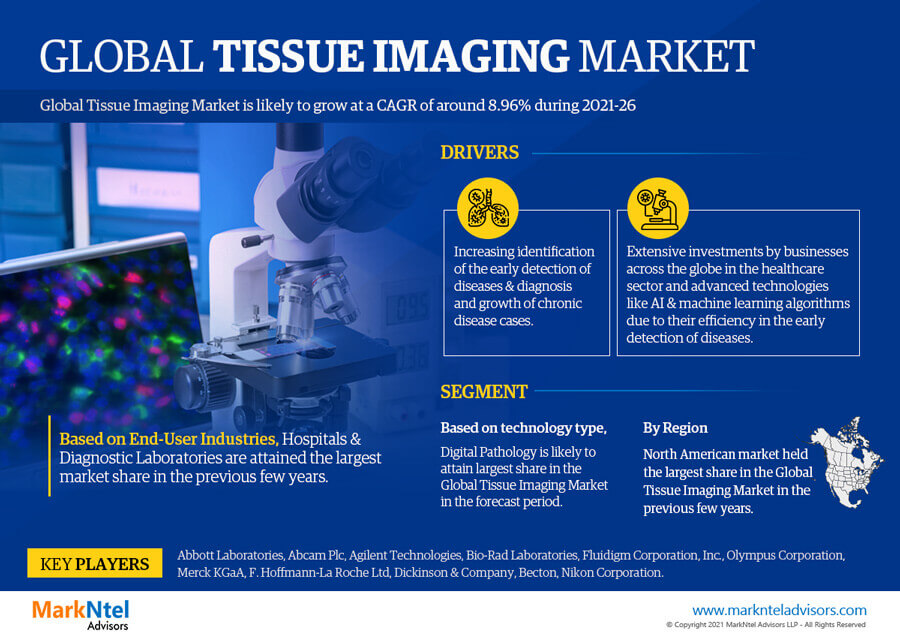 Tissue Imaging Market to Grasp Excellent Growth by 2026