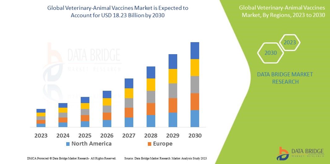 Veterinary-Animal Vaccines: Safeguarding Health and Well-being
