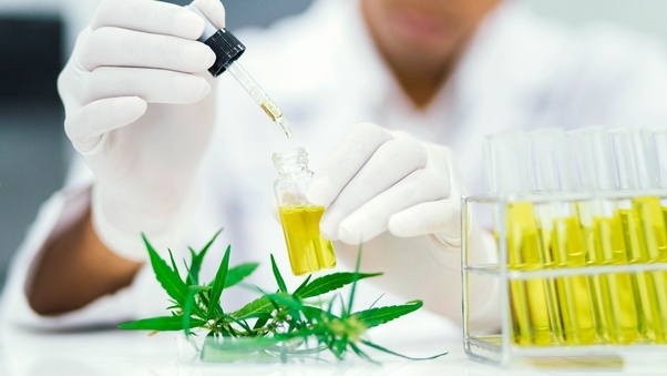 Harnessing the Power of Nature: The Rise of Botanical Pharmaceutical-Grade Extracts in Medicine