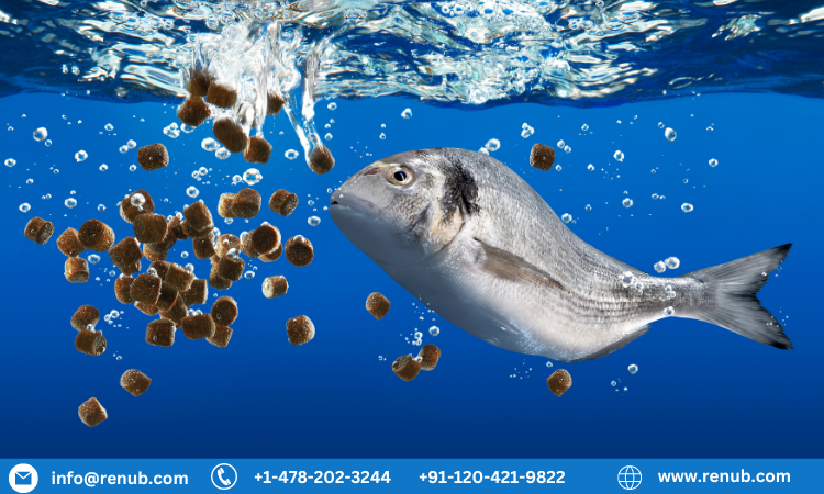 Fish Meal Market Size, Growth & Forecast 2023-2030