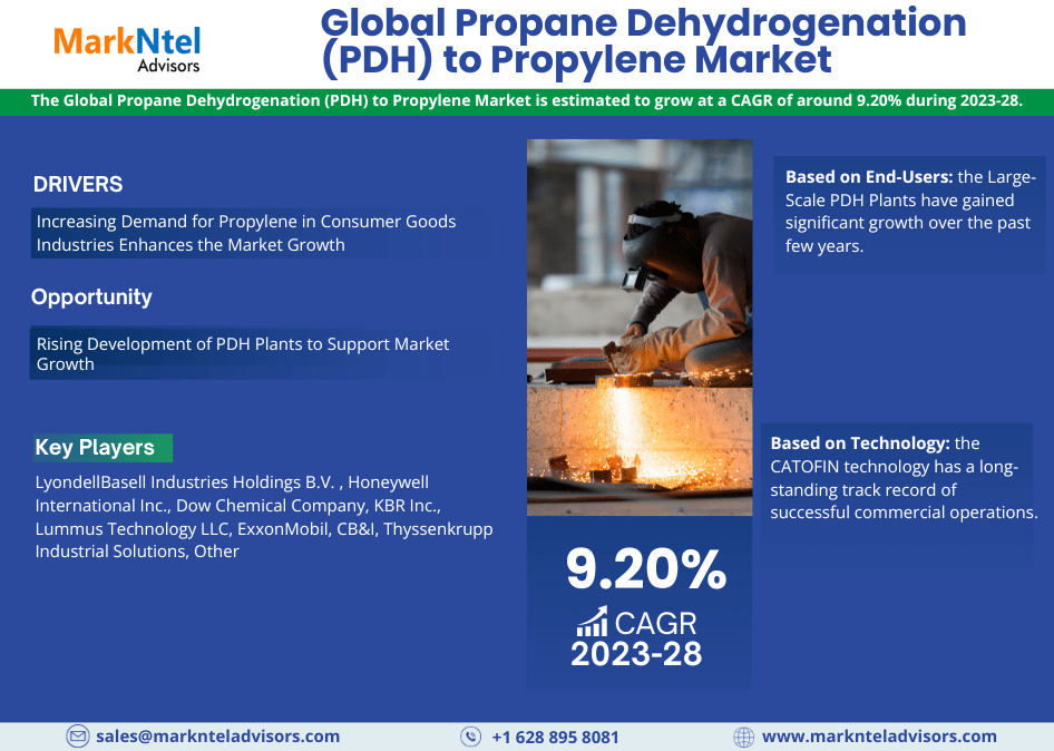 Propane Dehydrogenation (PDH) to Propylene Market Research: Analysis of a Deep Study Forecast 2028 for Growth Trends, Developments