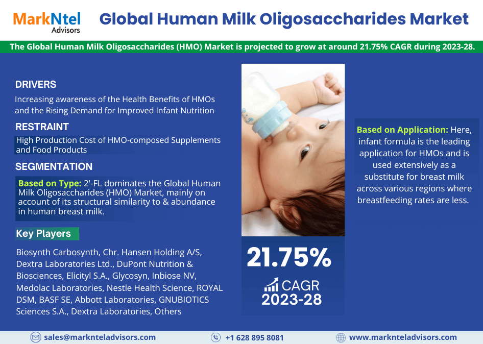 Human Milk Oligosaccharides (HMO) Market Business Strategies and Massive Demand by 2028 Market Share | Revenue and Forecast