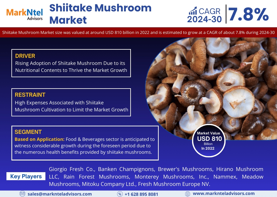 Shiitake Mushroom Market 2030 | Business Strategies and Opportunities with Key Players Analysis