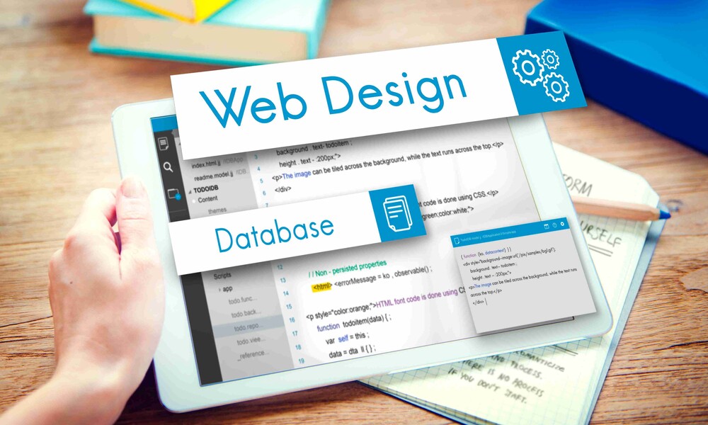Web Design vs. Web Development: Understanding the Differences and Synergies