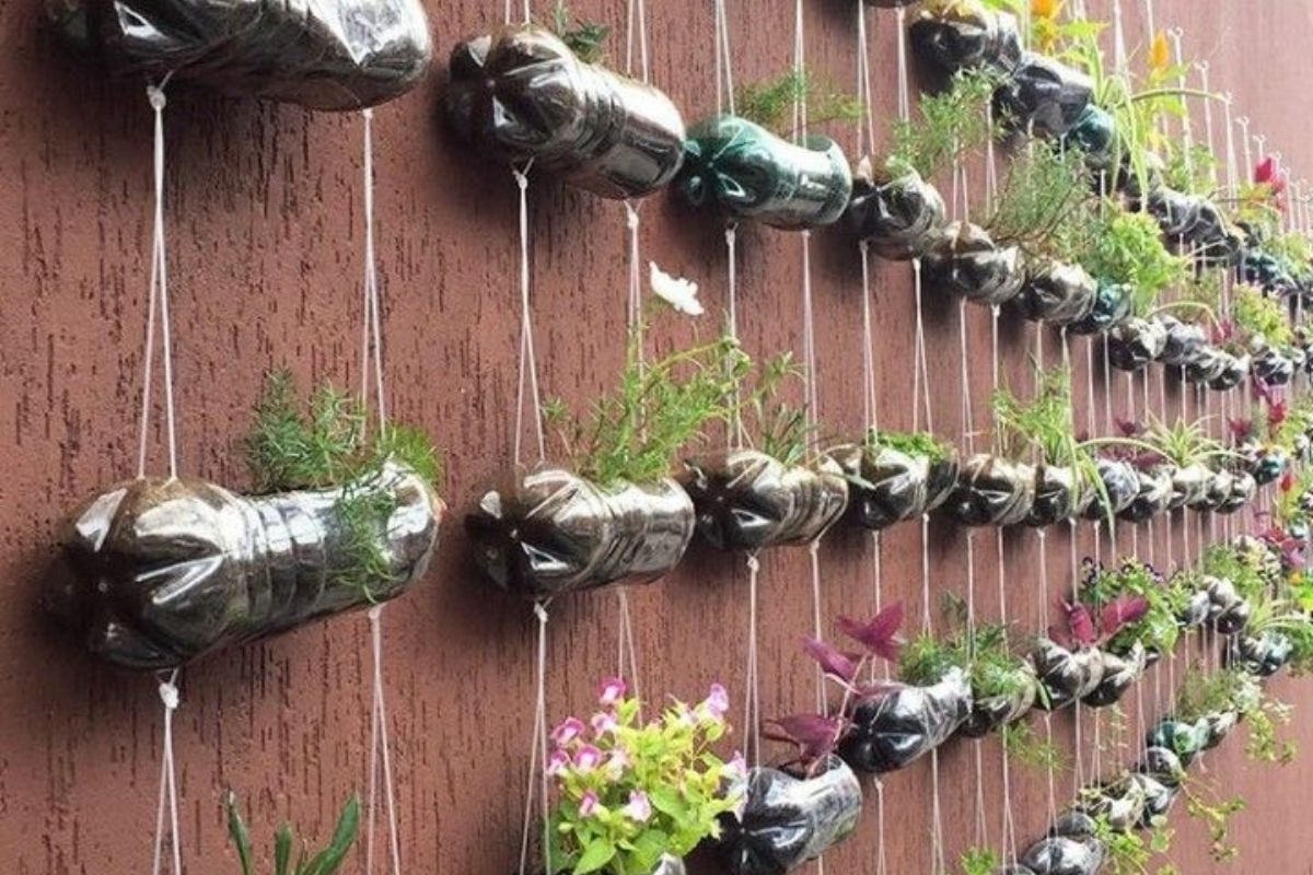 Sustainable Vertical Gardens: Transforming PET Bottles into Vertical Gardens