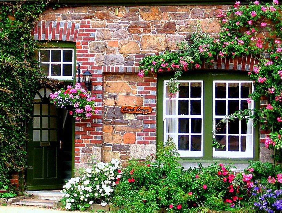What materials are commonly used for windows and doors?