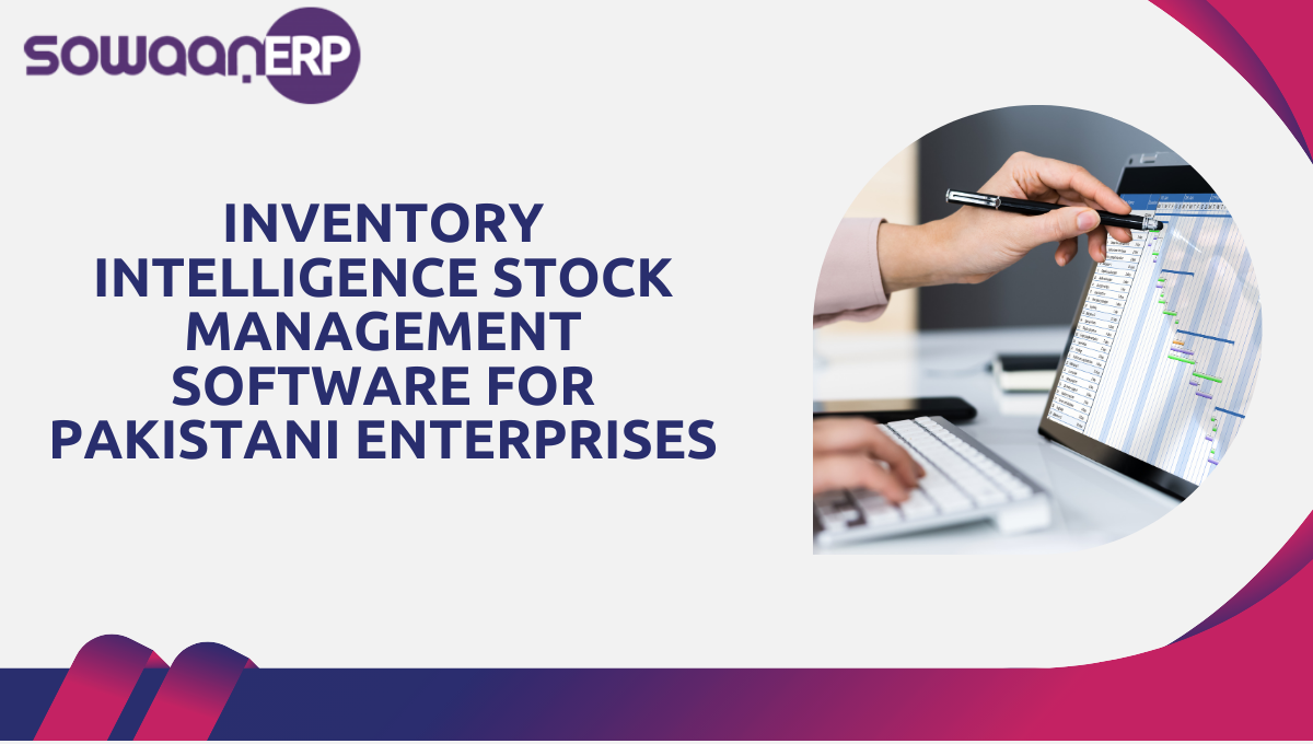 Inventory Intelligence: Stock Management Software for Pakistani Enterprises