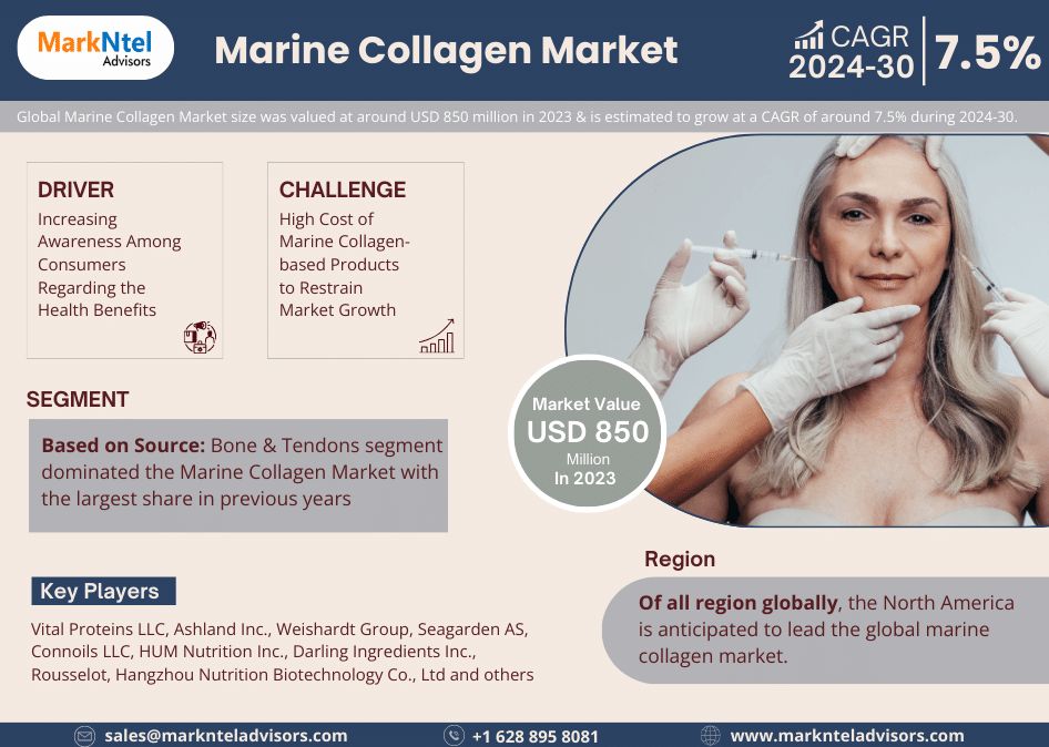 Marine Collagen Market Share, Size, Analysis, Trends, Growth, Report and Forecast 2024-2030