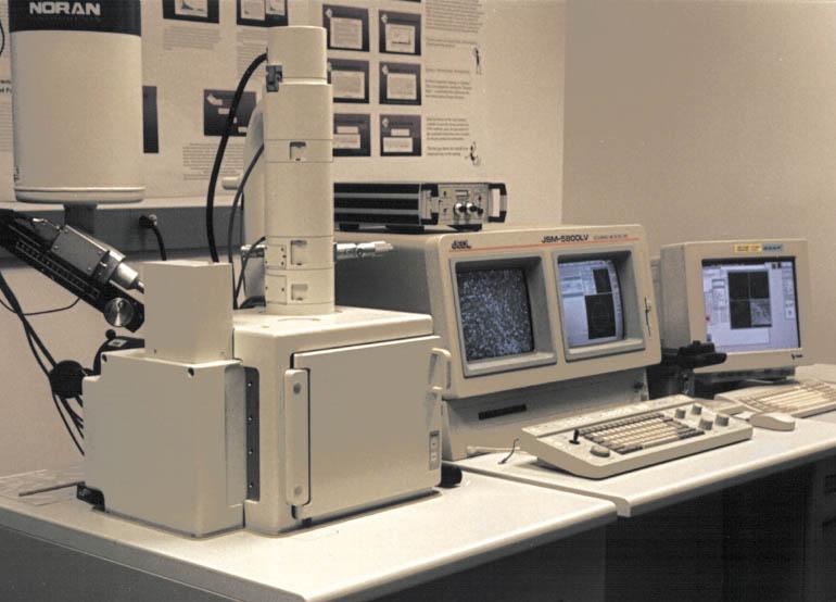 Scanning Electron Microscopes Market Report, Share, Trends and Forecast 2024-2032