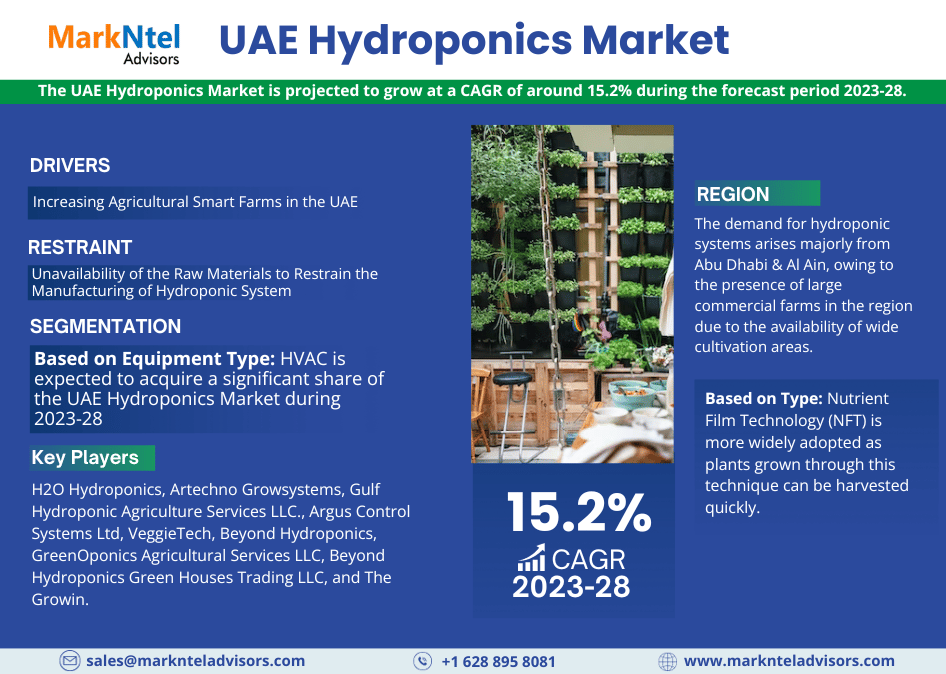 UAE Hydroponics Market Size in USD: A Comprehensive Forecast for 2023-28
