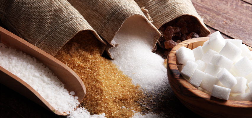 The Sugar Industry’s Future in Exports: Facing Challenges and Finding Ways to Grow