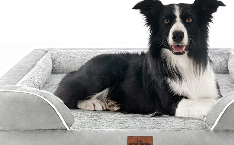 The Ultimate Buyer’s Guide to Orthopedic Dog Beds for Senior Pets