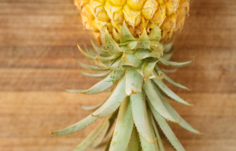 The Sweet Surprise: The Hidden Symbolism of an Upside-Down Pineapple