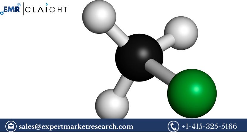 Unveiling the Growth Trajectory of the Methyl Mercaptan Market