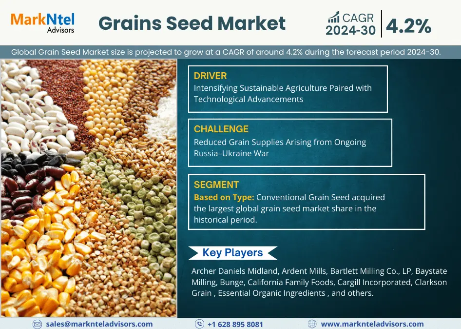 Grain Seed Market – Navigating Industry Growth, Size, Share, and Ongoing Trends
