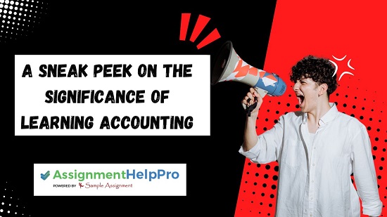 Accounting assignment help australia