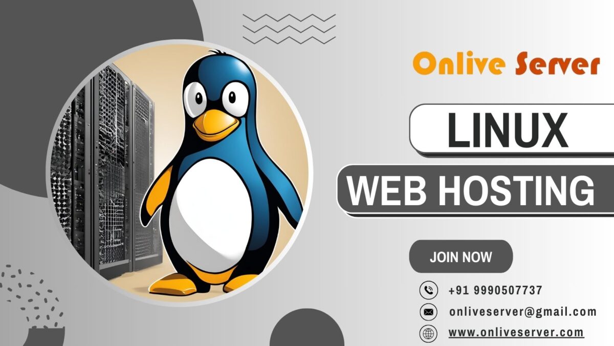 How Professional Linux Web Hosting Services Can Help to Increase Your Internet Business