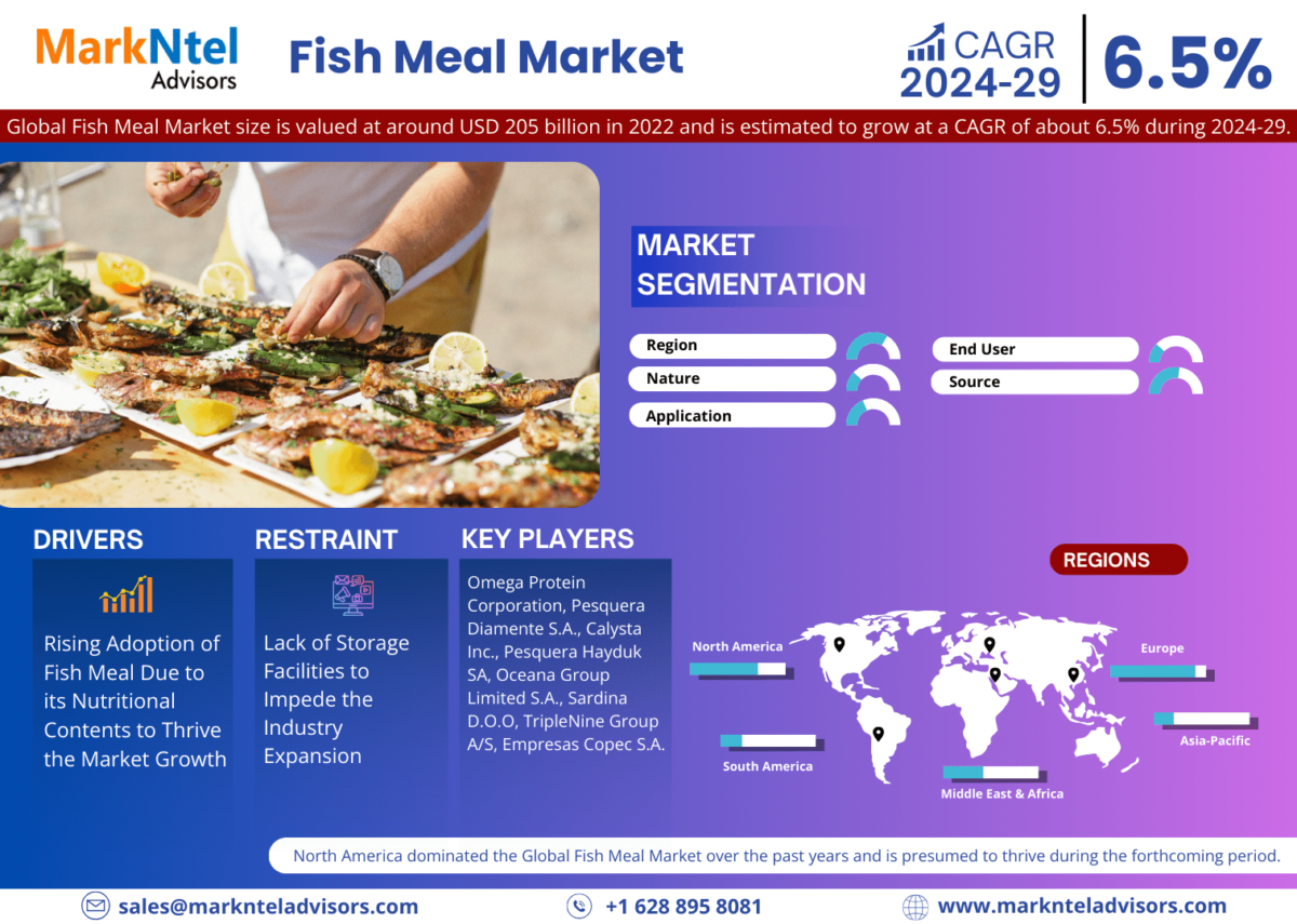 Analyzing the Fish Meal Market Size: Analysing the USD 205 BILLION IN 2022 and Forecast for 2024-29