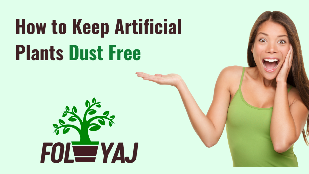 How to Keep Artificial Plants Dust Free
