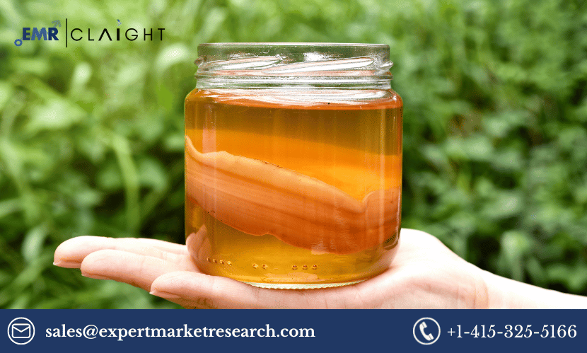 Kombucha Tea Market Report and Forecast 2024-2032: Probiotic Beverage Trends and Growth Drivers